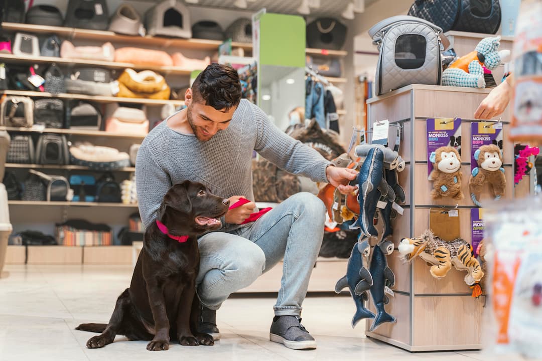 pet store for retail business owners in Singapore